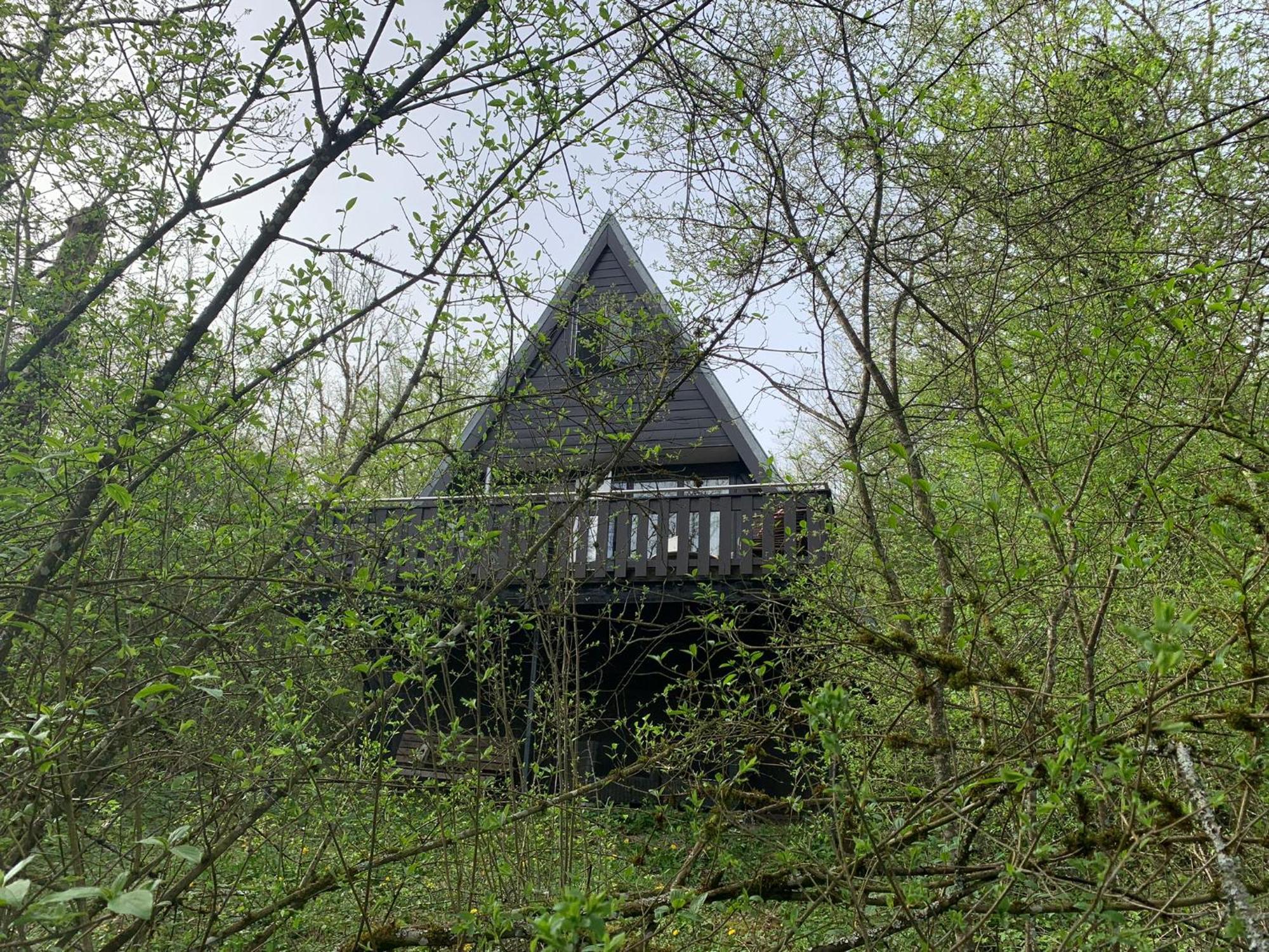 Heerlijk Vakantiehuis In Bos Bij Durbuy Bagian luar foto