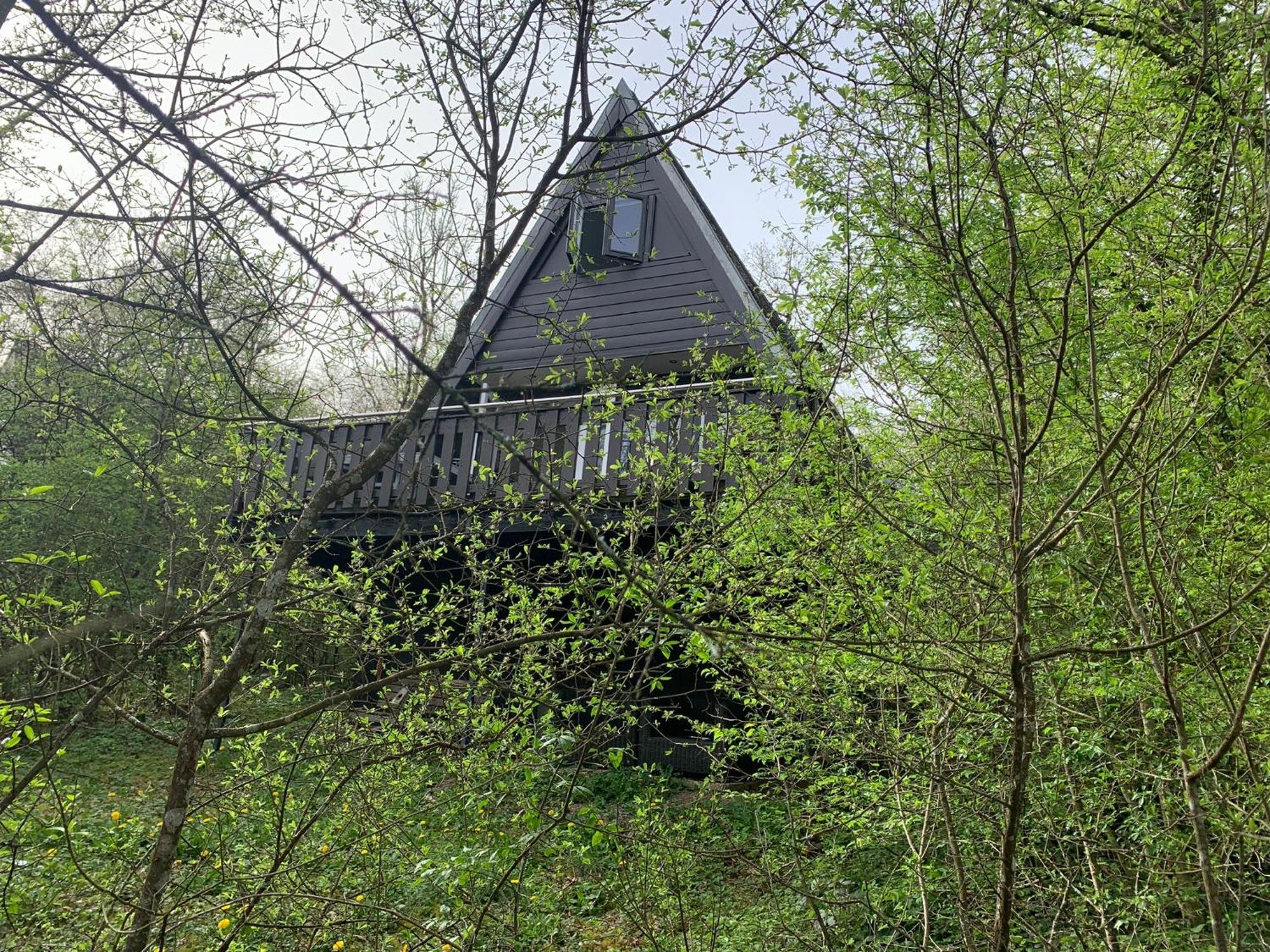 Heerlijk Vakantiehuis In Bos Bij Durbuy Bagian luar foto
